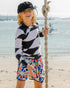 Boardies in Stargazer